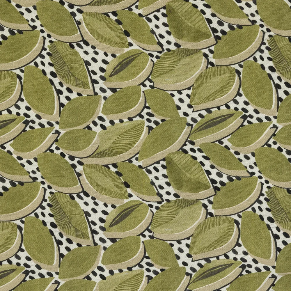 Kilima - Aloe