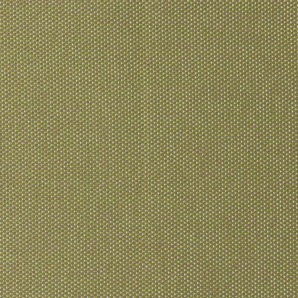 Elba - Tropic - Image 2