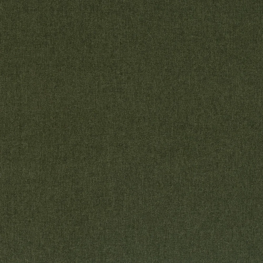 Winterberry - Alpine - Image 2