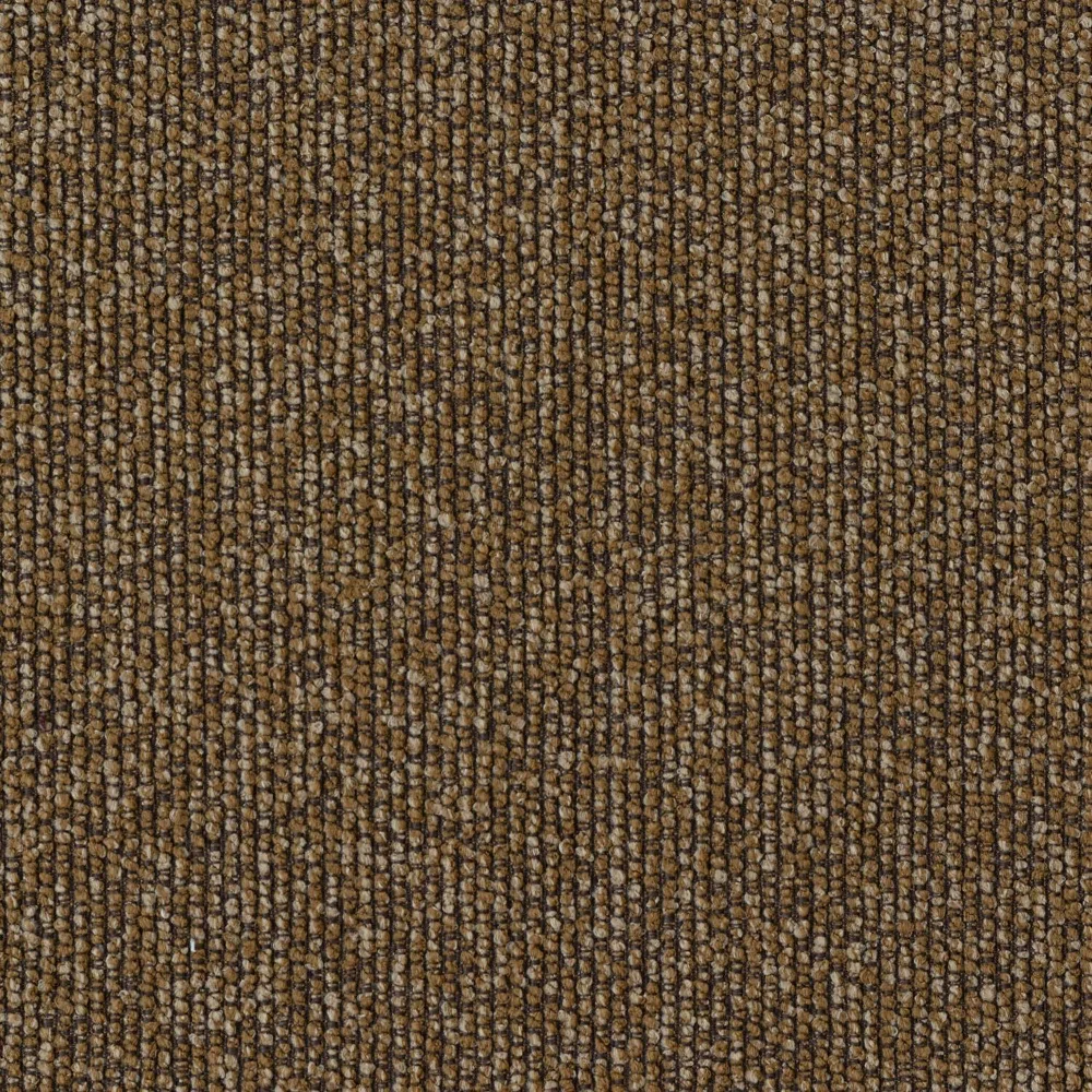 Roxy - Saffron - Image 2
