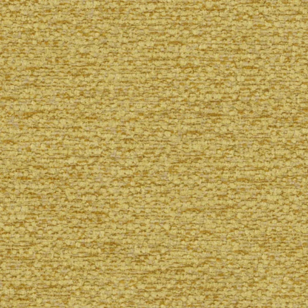 Cuddly - Gold