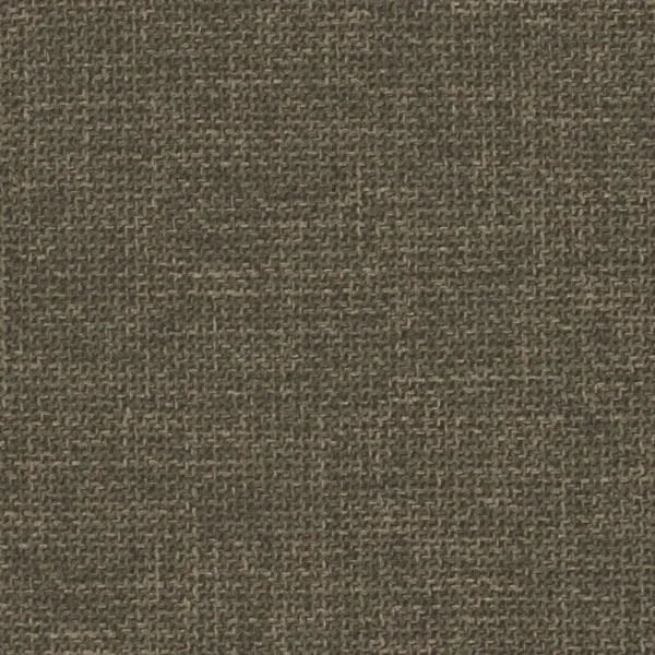 Grit - Olive