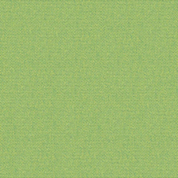 Suvi - Grass