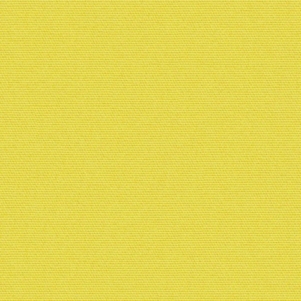 Suvi - Olive