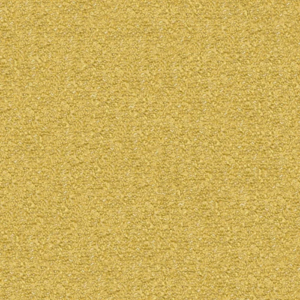 Compete - Mimosa