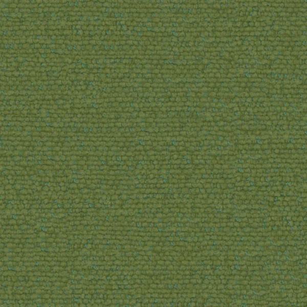 Duel - Fern