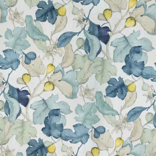 Figtree - Aqua