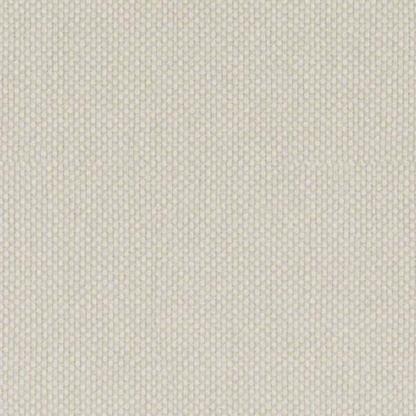 Aviator - Almond