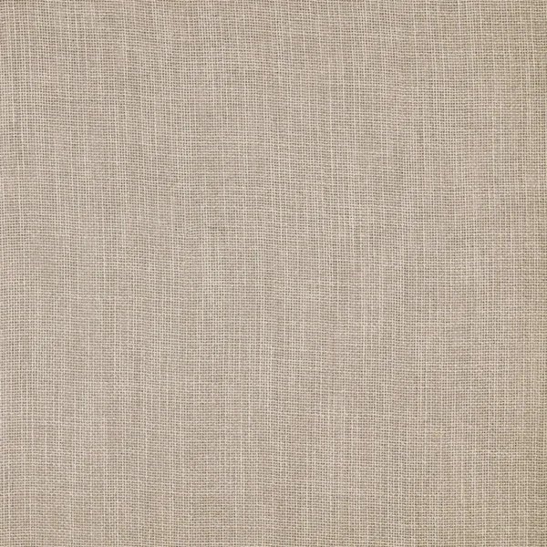 Calais - Flax