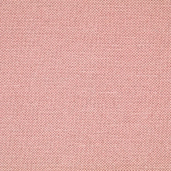 Checkers - Candyfloss