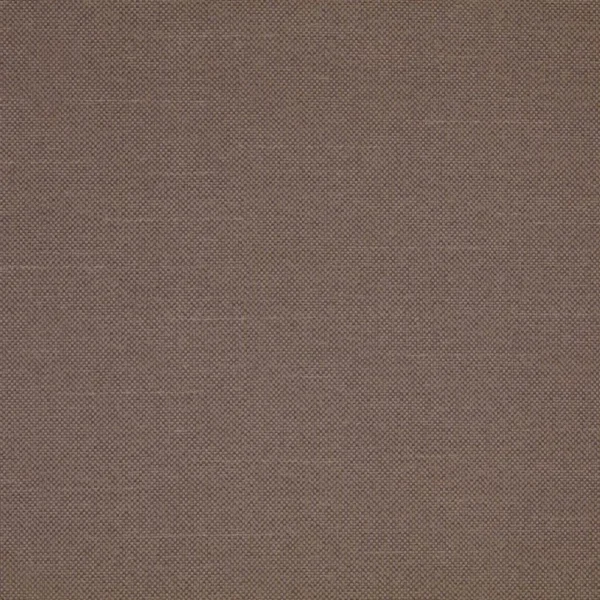 Checkers - Cedar