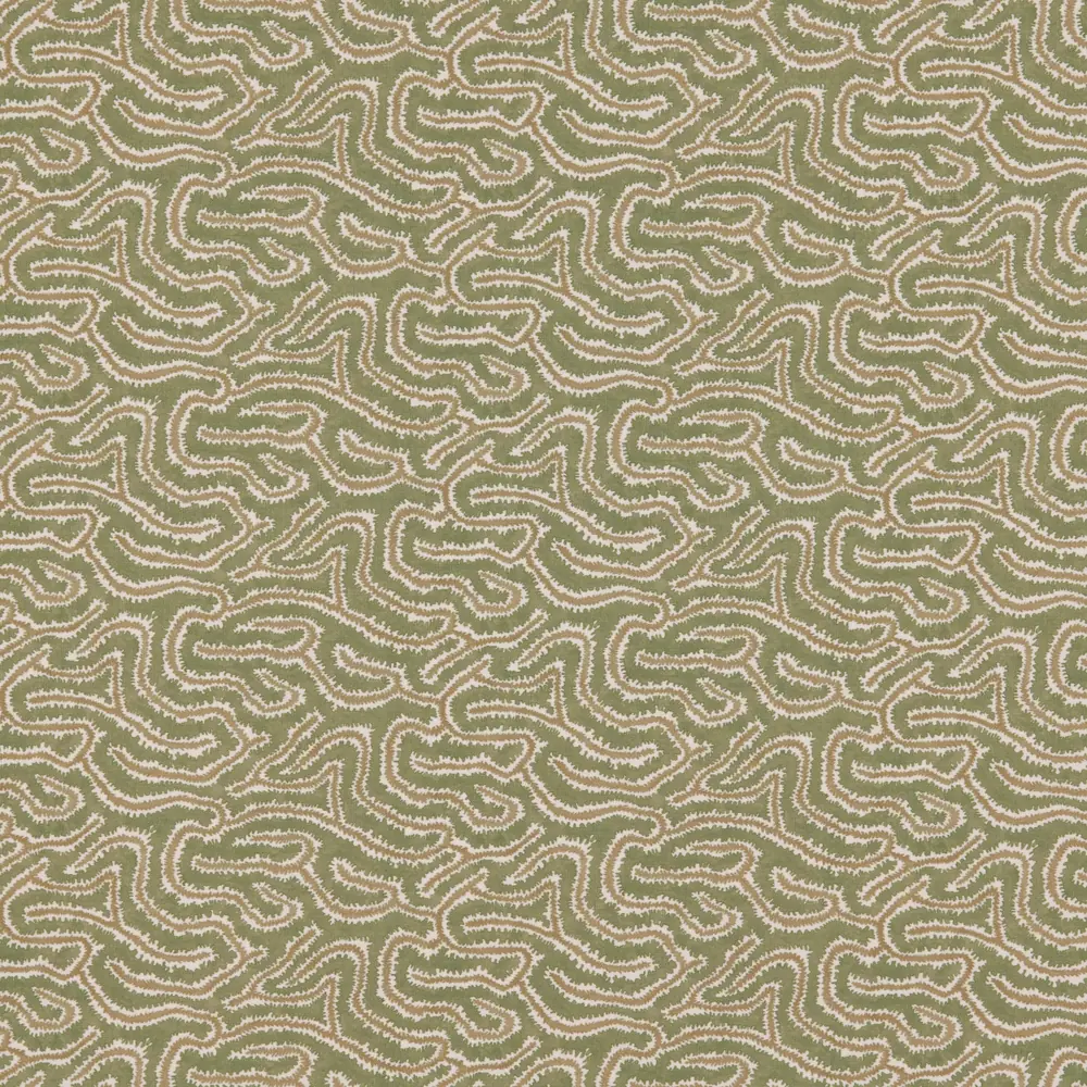 Noyack - Kelp - Image 2