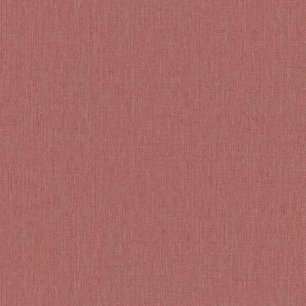 Linear - Blush
