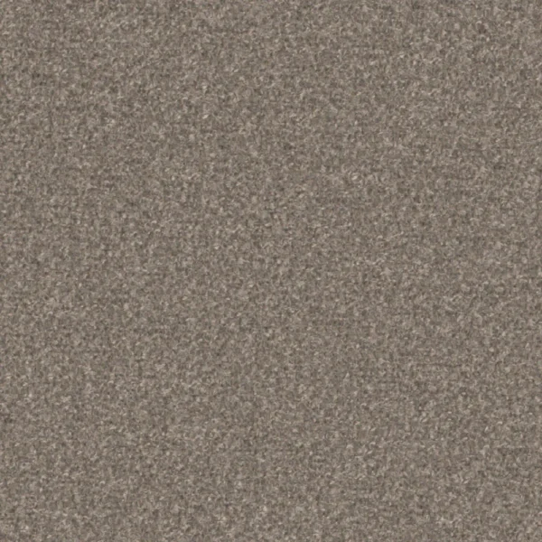 Magnate - Chinchilla