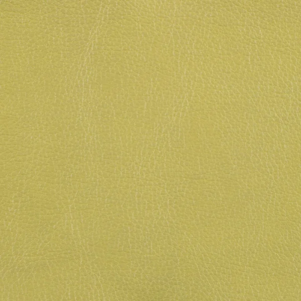 Marlborough - Avocado