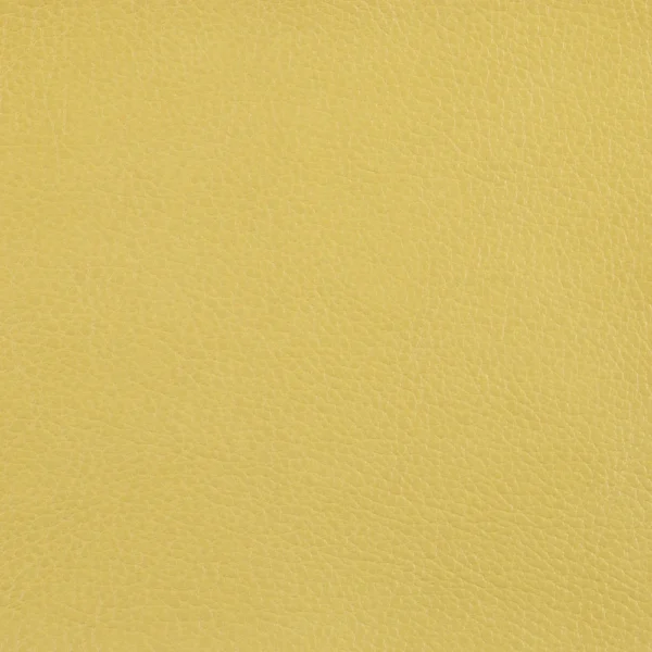 Marlborough - Mustard