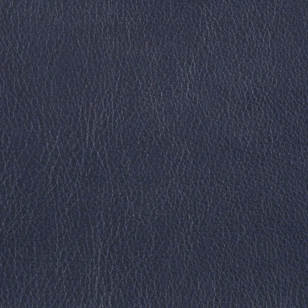 Marlborough - Navy