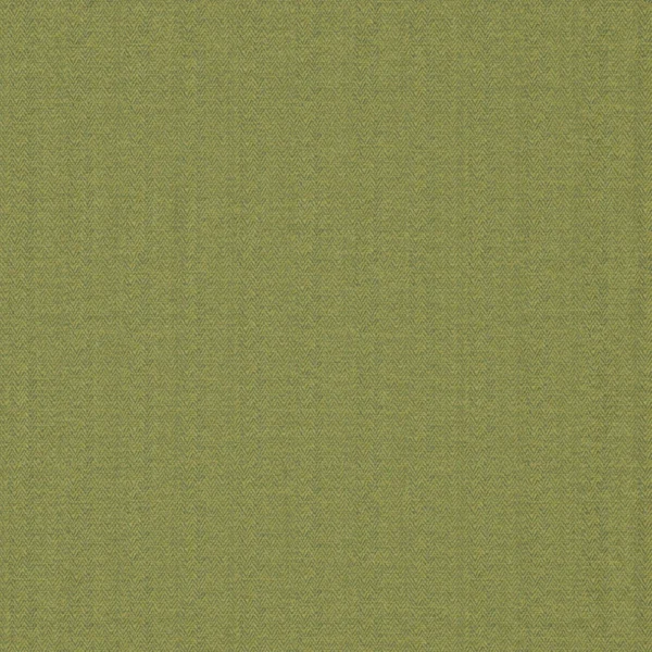 Saison - Oasis