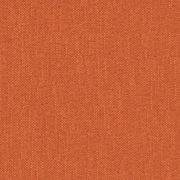 Perfecto - Carrot