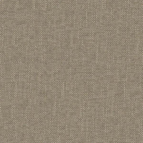 Perfecto - Fossil