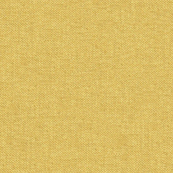 Perfecto - Mustard