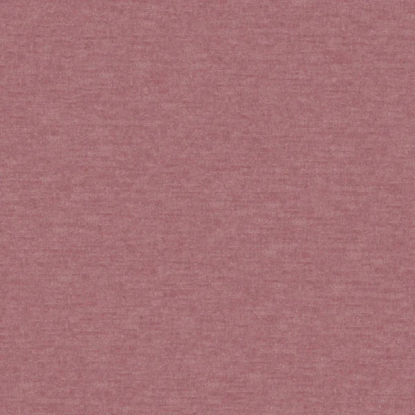 Professional - Blossom