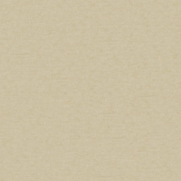Professional - Camel