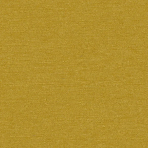 Professional - Dijon