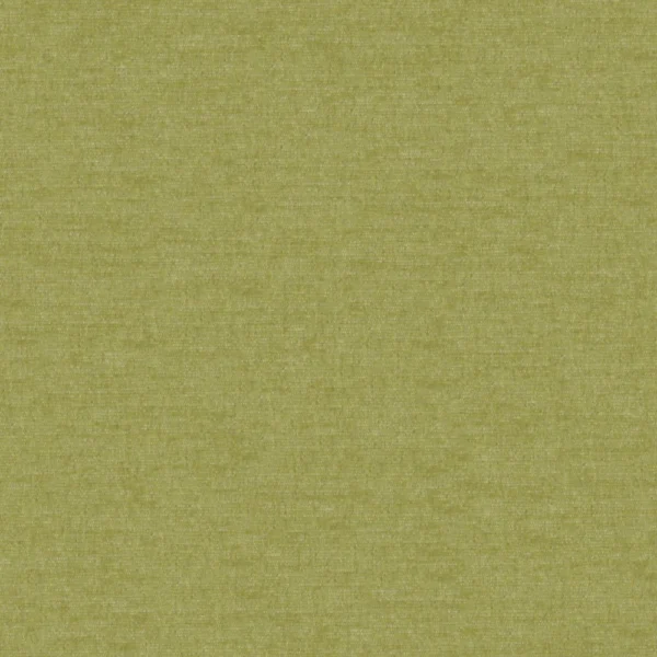 Professional - Thym