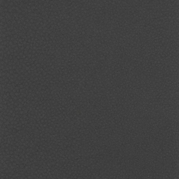 Shagreen - Carbon