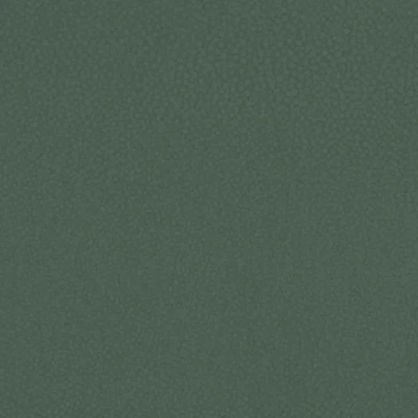 Shagreen - Evergreen