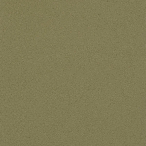 Shagreen - Pistachio