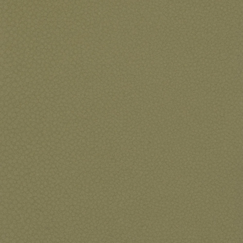 Shagreen - Pistachio