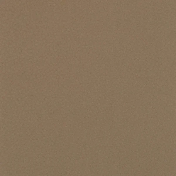 Shagreen - Saddle
