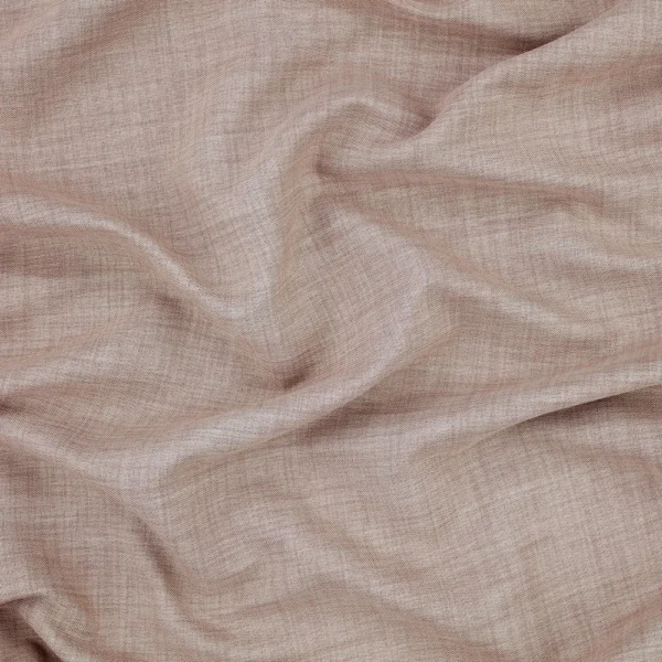 Sophia - Shell