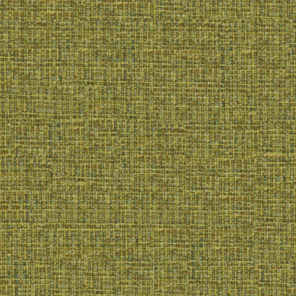 Spartacus - Fern