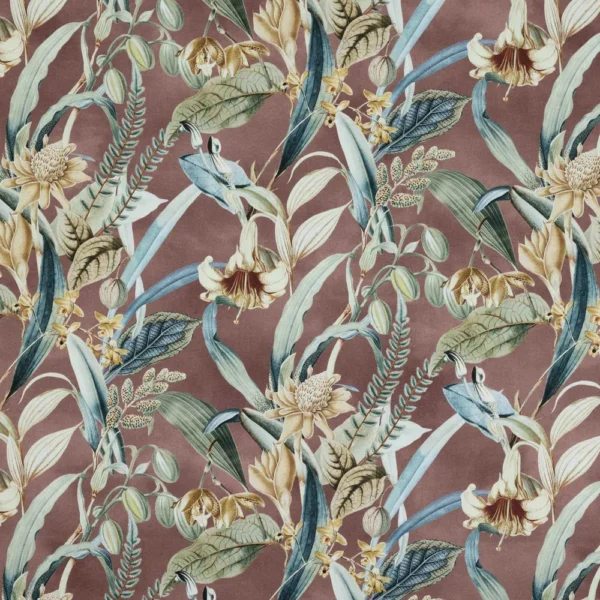 Wild Orchid - Dusk