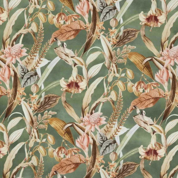 Wild Orchid - Natura