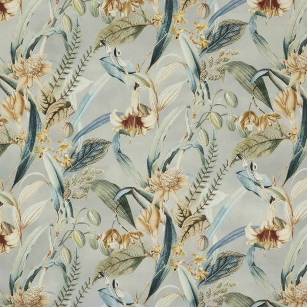 Wild Orchid - Tidal