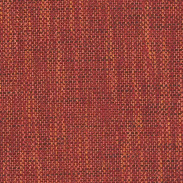Zena - Spice